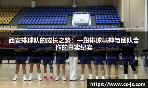 威克电竞官网